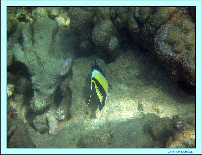 2011 - 03 - Koh Ngai 103